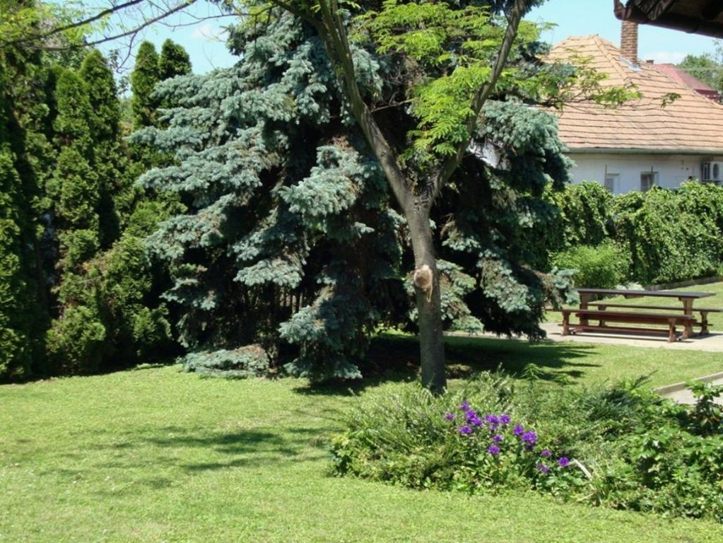 Gyongyvirag Vendeghaz Apartment Balatonboglar Bagian luar foto